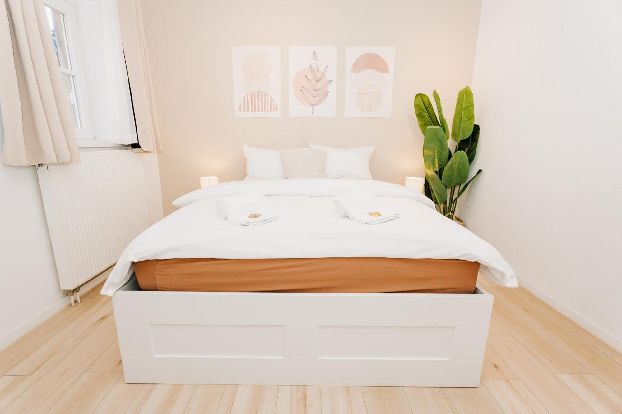 City-Apartment Kreuzviertel-Laedchen-60 Qm ミュンスター エクステリア 写真